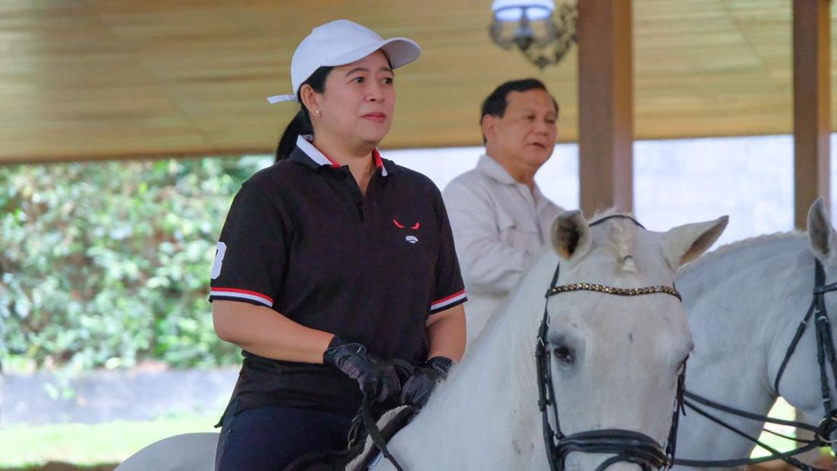 Puan Questions Prabowo Over Respecting PDIP as Opposition: Our Criticism Is Constructive