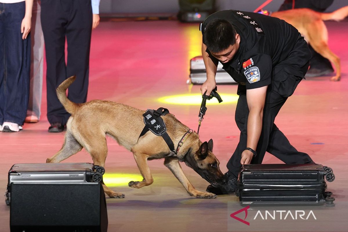 China-U.S. Collaboration Dismantles Transnational Crime Case