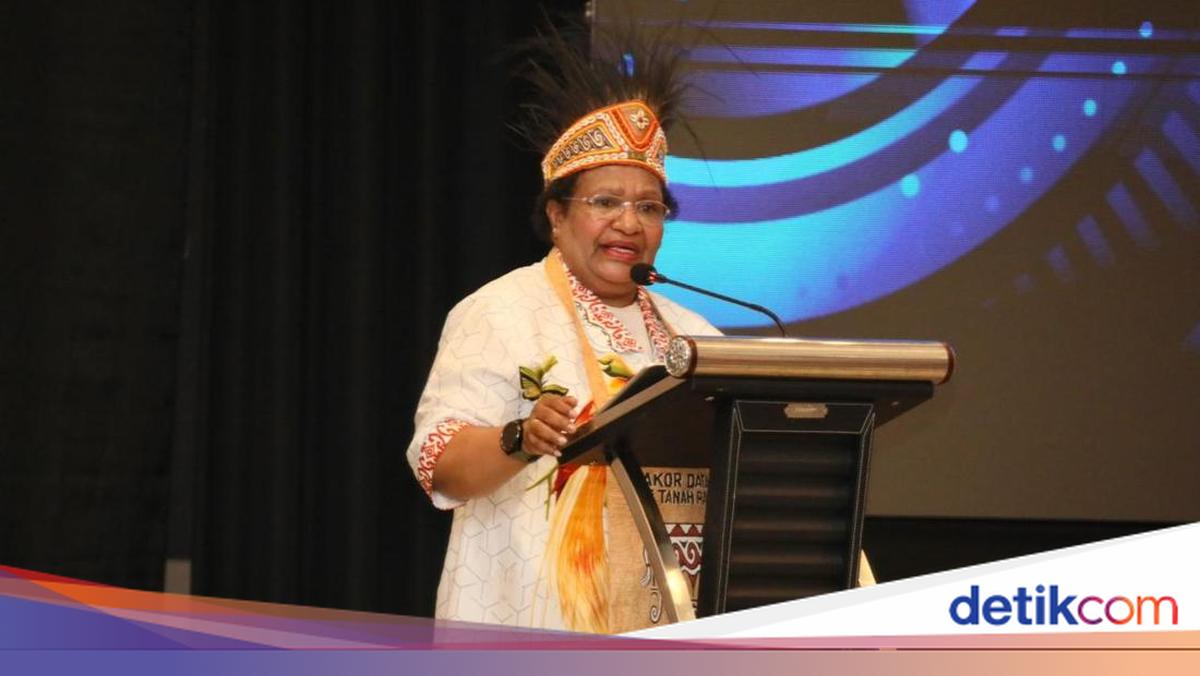 Deputy Home Affairs Minister Urges Expedited Census of Indigenous Papuans to Formulate Programs