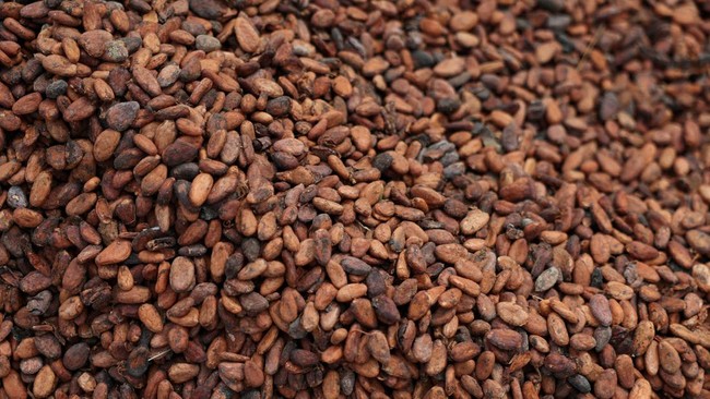 The Irony of a Cocoa Nation Importing Cocoa