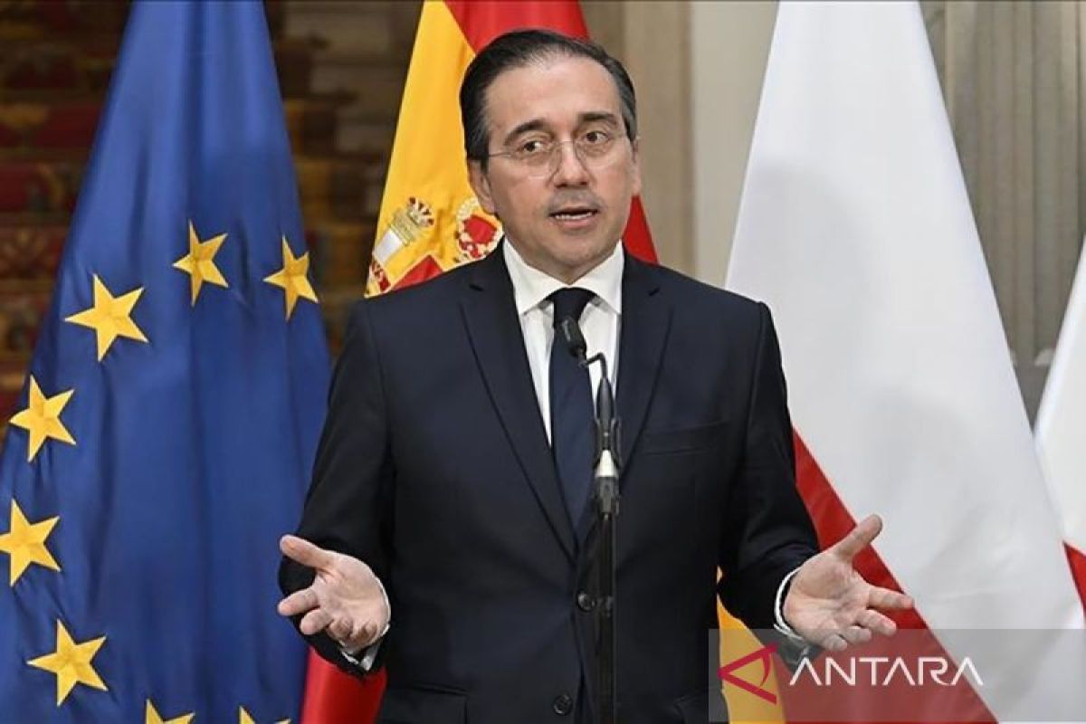 Spanish flotilla activists to be deported via Turkey, says Albares