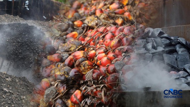 Note: Trade Minister Confirms Palm Oil and Coal Exports Still Require This Document