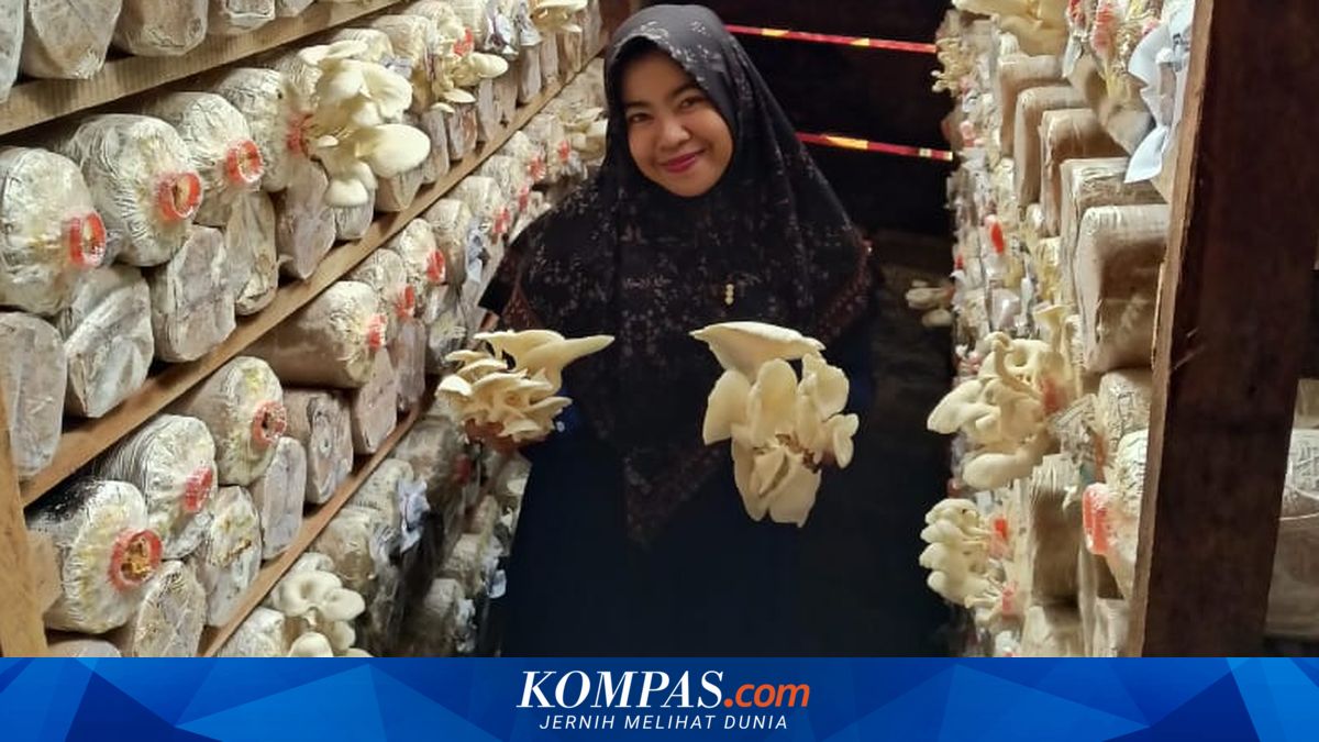Repurposed drums boost Trisha's oyster mushroom business and the economy in Nias