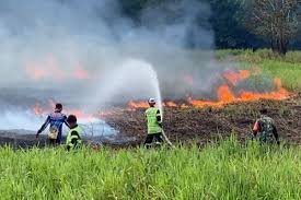 IPB Expert Warns Forest and Land Fires in 2026 Could Extend into 2027