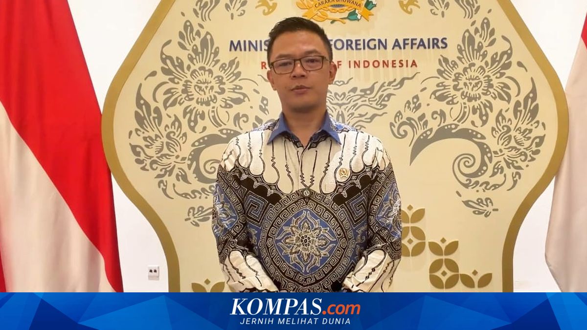 Foreign Minister Sugiono reveals nine Indonesian nationals detained by Israel have been released