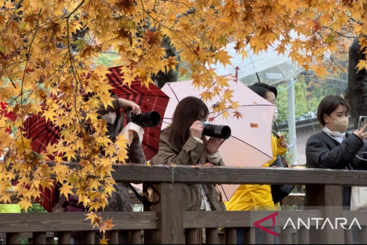 Global travel trends point towards cultural connections and tranquillity