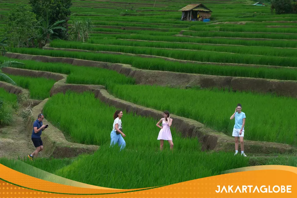 Bali, Jakarta, and Riau Islands Still Dominate Tourism Investment Flows