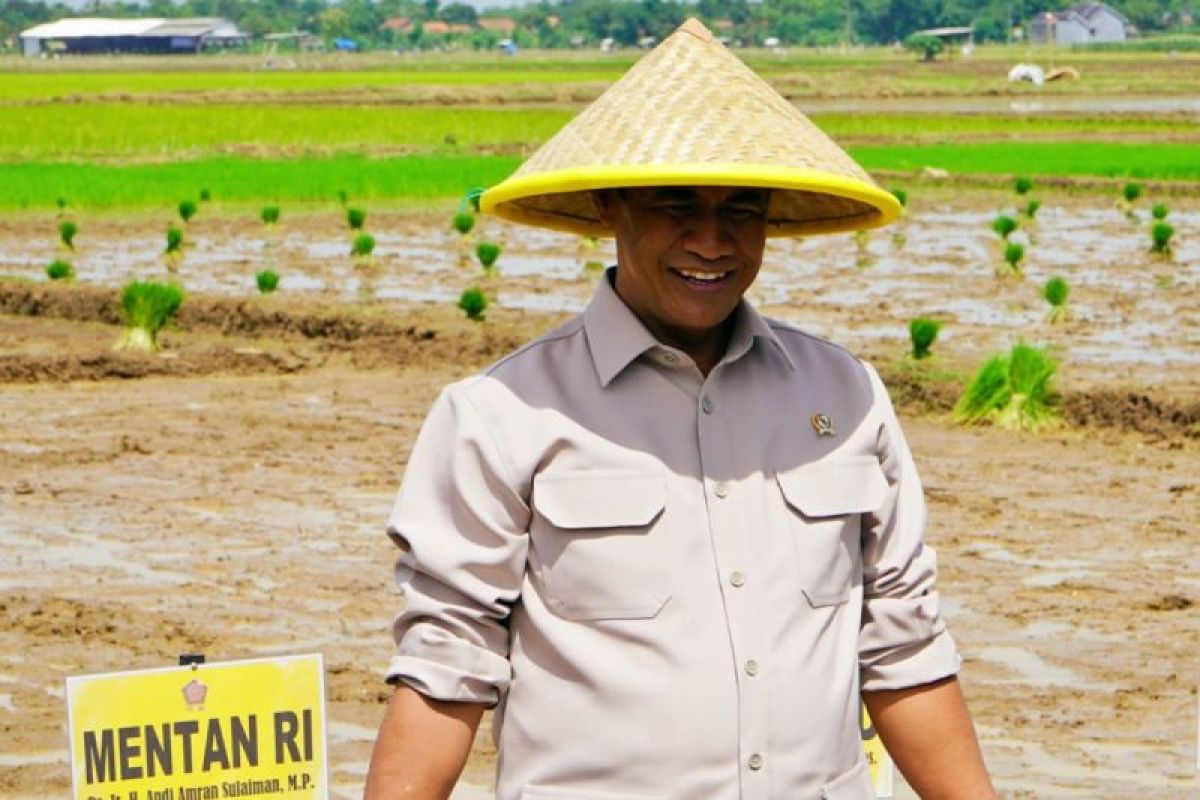 Government tightens rice oversight to curb food mafia practices