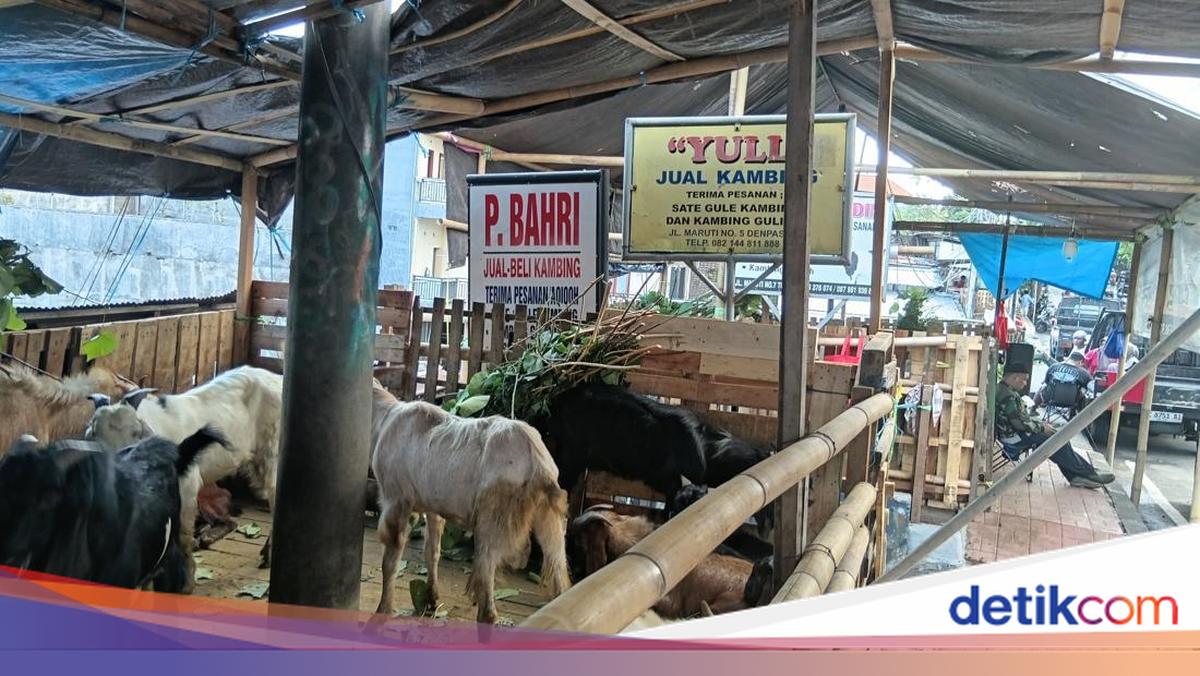 A Week Before Eid al-Adha, Goat Sellers in Denpasar Report Sparse Demand