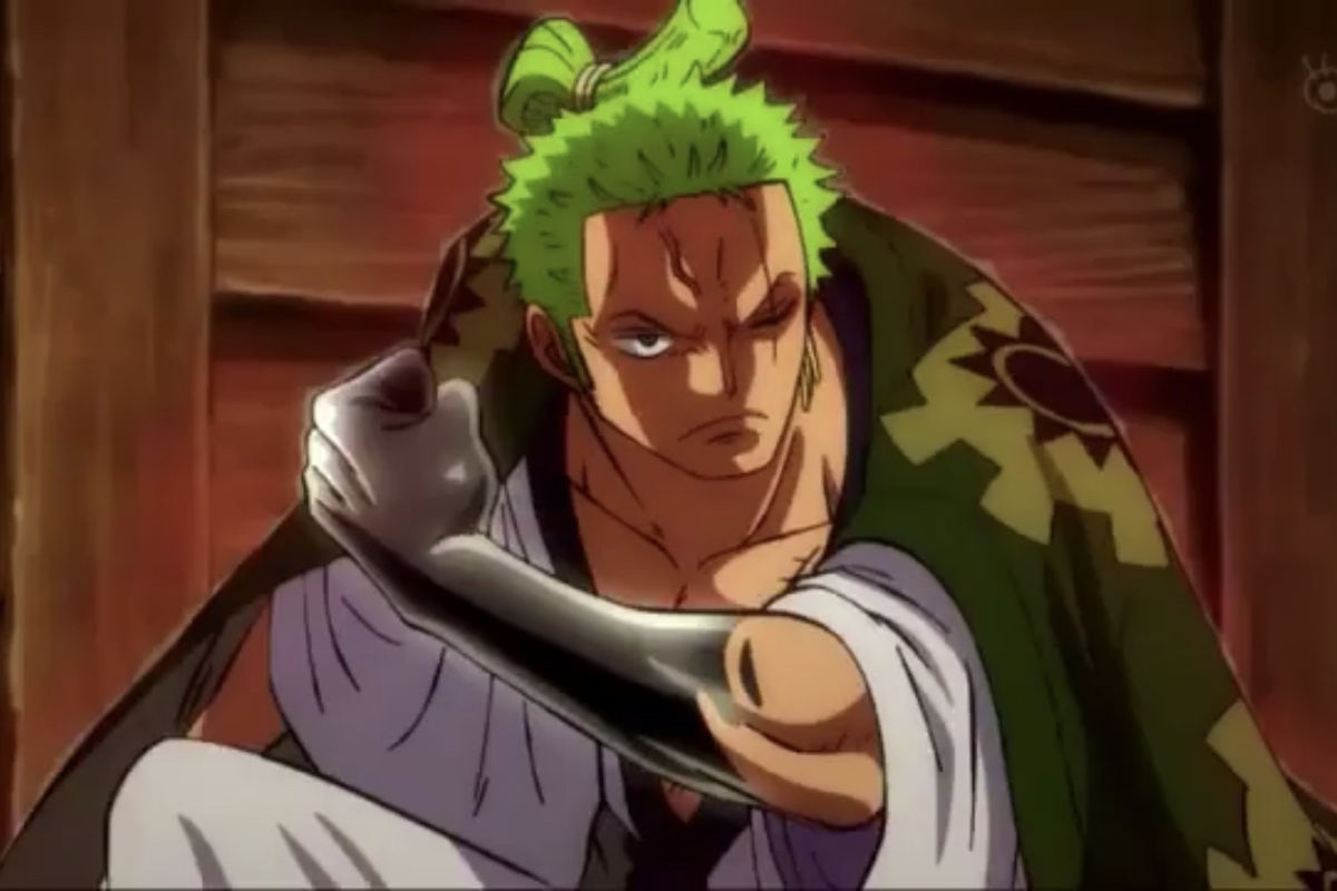 This Devil Fruit That Would Suit Roronoa Zoro to Eat in One Piece