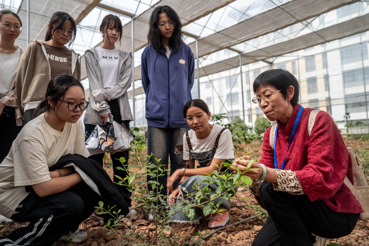 Starbucks partners with Yunnan Agricultural University to develop the coffee industry