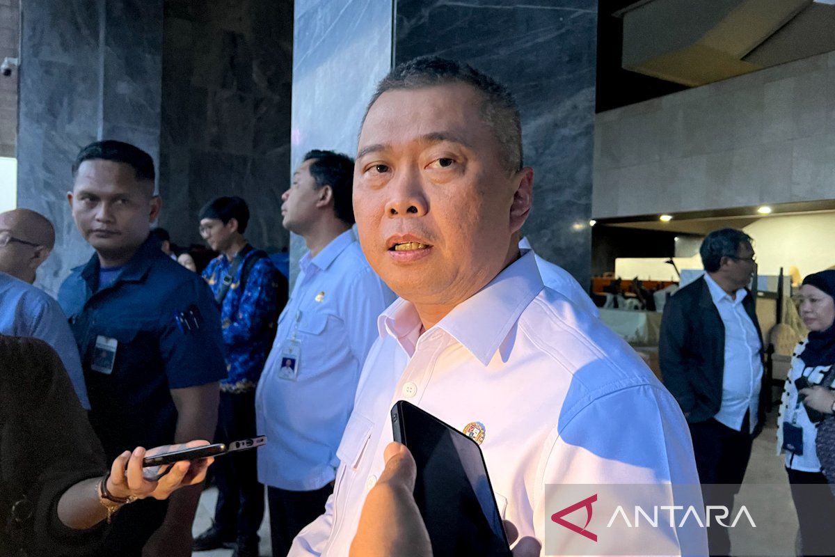 Transport Minister confirms airline ticket price cap will be discussed soon amid geopolitical impact