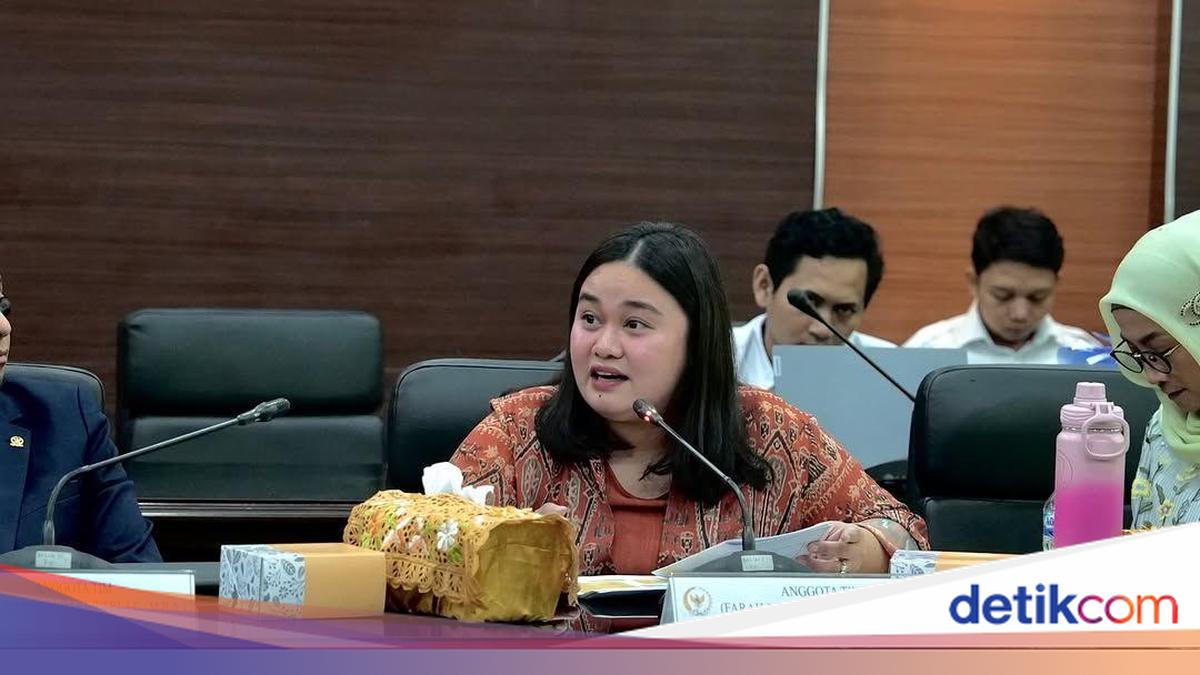 PAN Legislator Praises Foreign Ministry for Returning Nine Indonesian Citizens, Flotilla Volunteers, from Israel