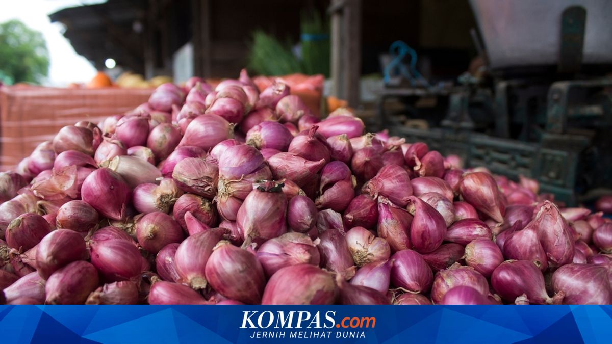 Red onions in Jakarta climb to Rp 58,062 per kilogram
