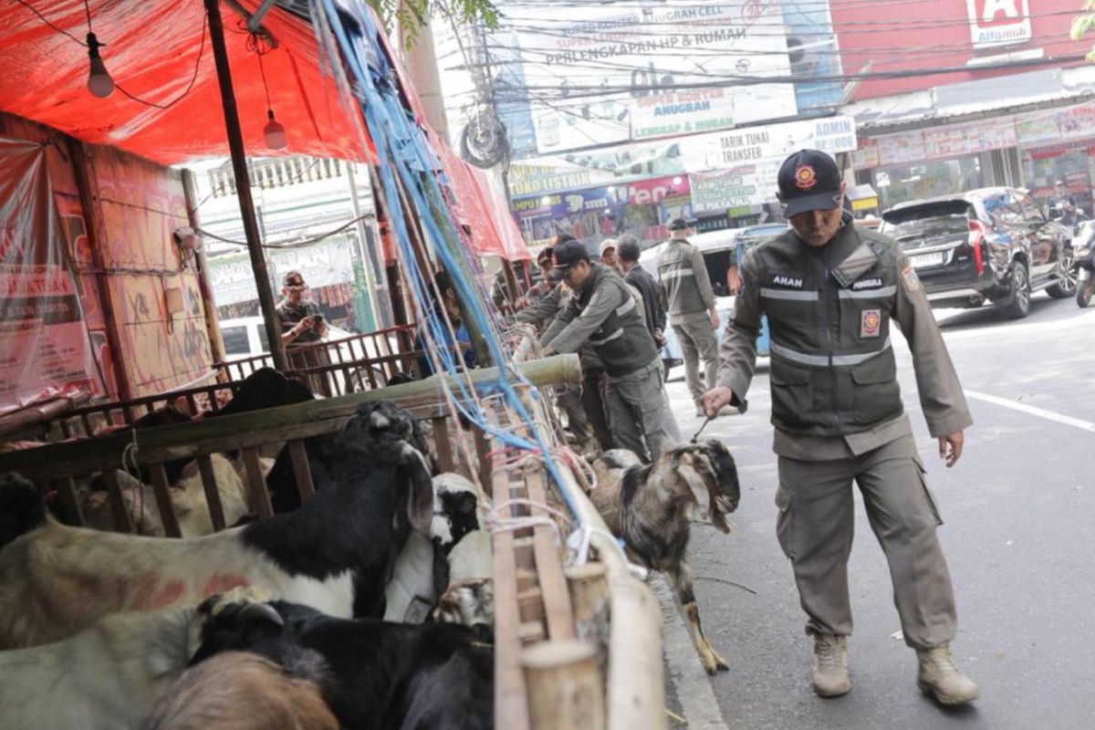 Jakarta: Fire at plastic warehouse and crackdown on animal-seller stalls