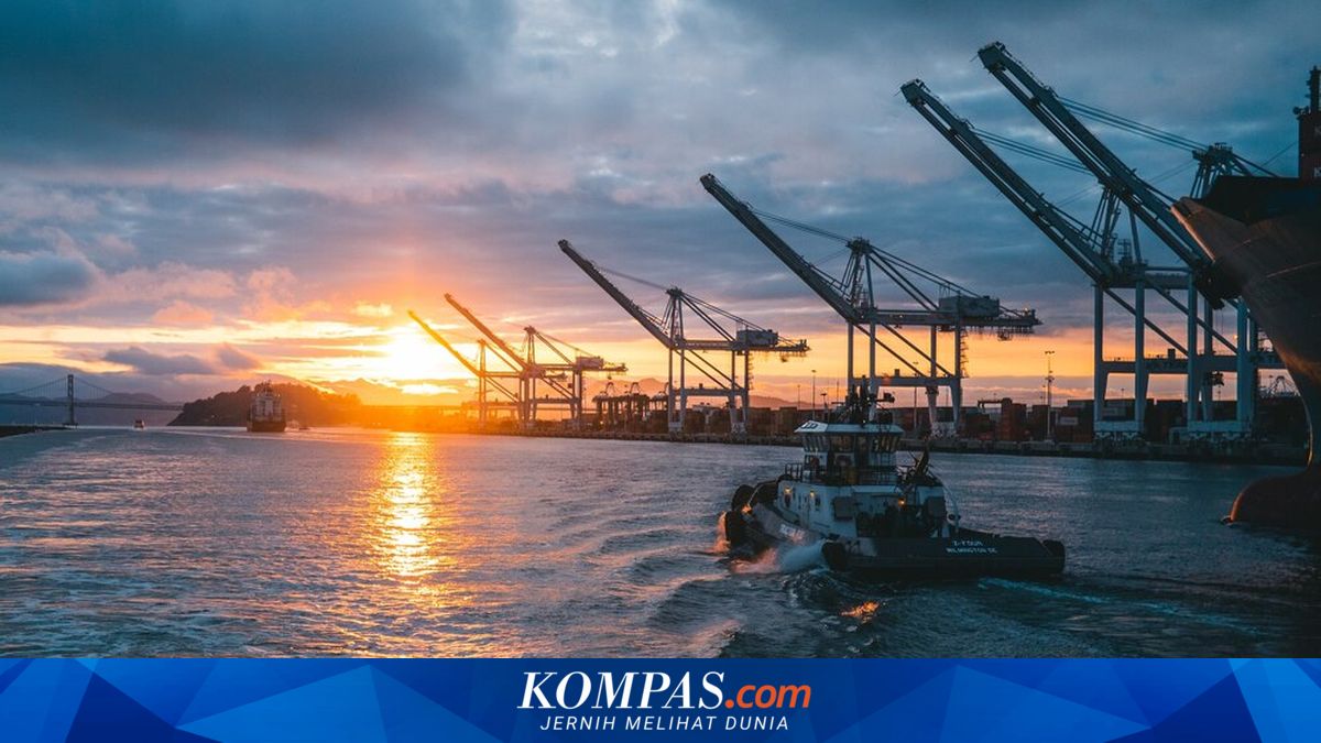 Moody’s and S&P Flag Risks in Indonesia's Commodity Export Control Plan