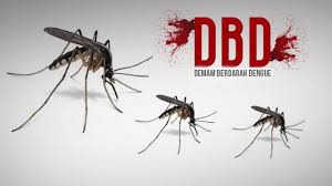 West Kalimantan dengue cases in 2026 reach 970 with four deaths