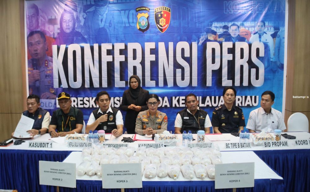 100,000 Baby Lobsters: Batam Police Probe International Smuggling Network