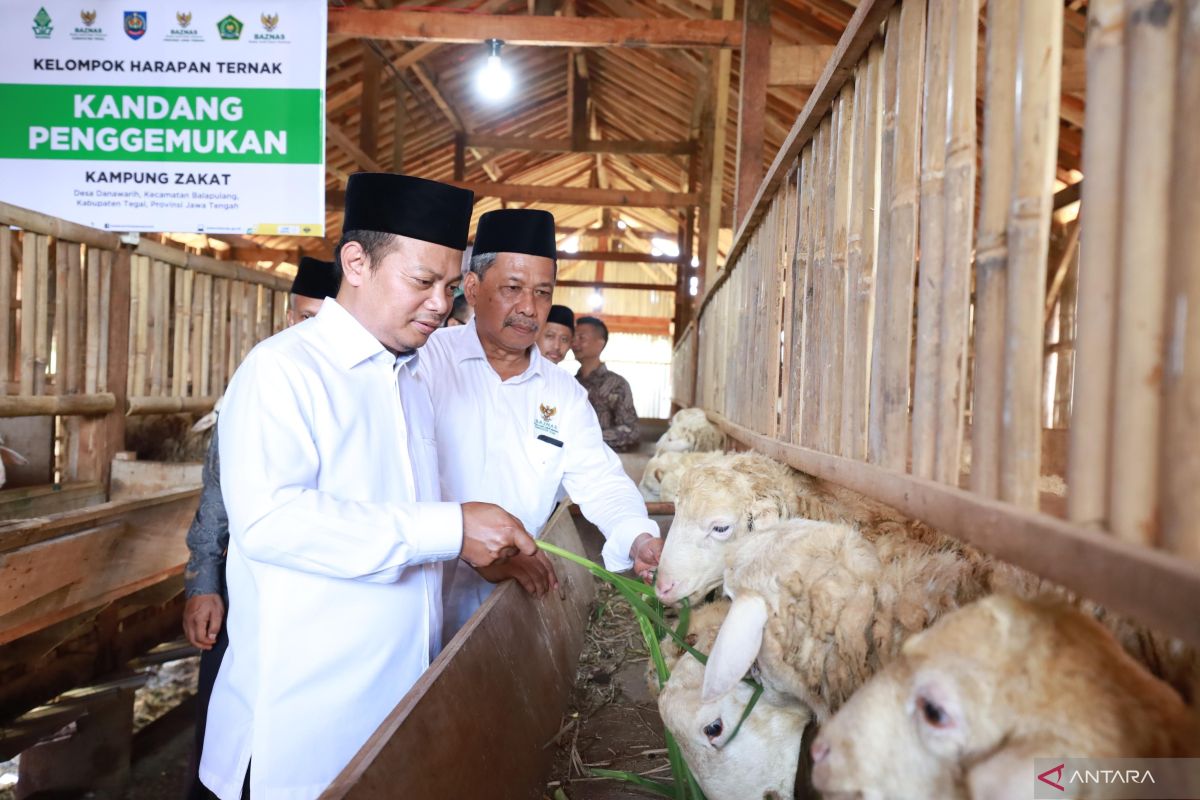 Baznas launches Balai Ternak to strengthen the economy of mustahik livestock farmers in Tegal