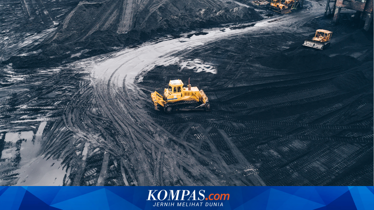 Moody’s dan S&P Peringatkan Risiko Skema Ekspor Satu Pintu Indonesia