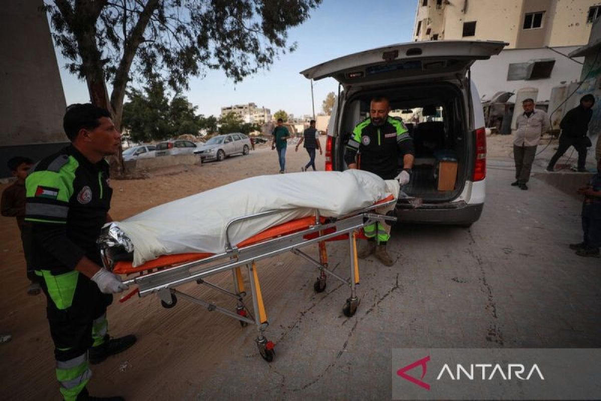 WHO: A Severe Health Crisis Strikes Palestine