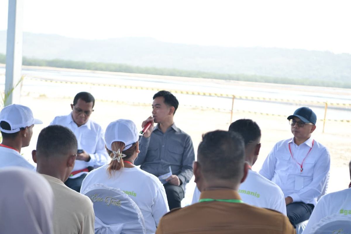 Vice-President: Salt development in Rote Ndao supports national needs