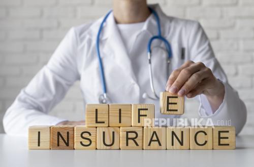 Digitalisation of Services Becomes a Focus for the Insurance Industry