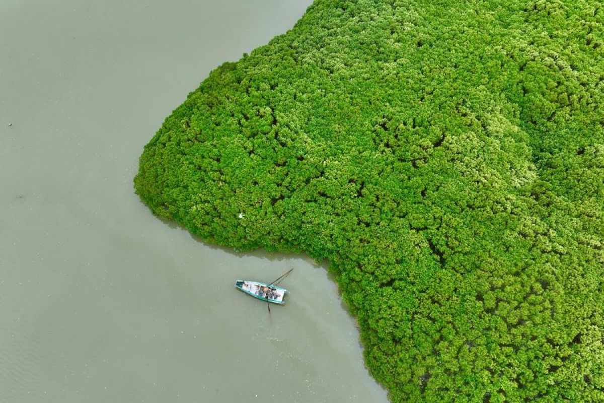 China Seen as Increasingly Important in Biodiversity Conservation