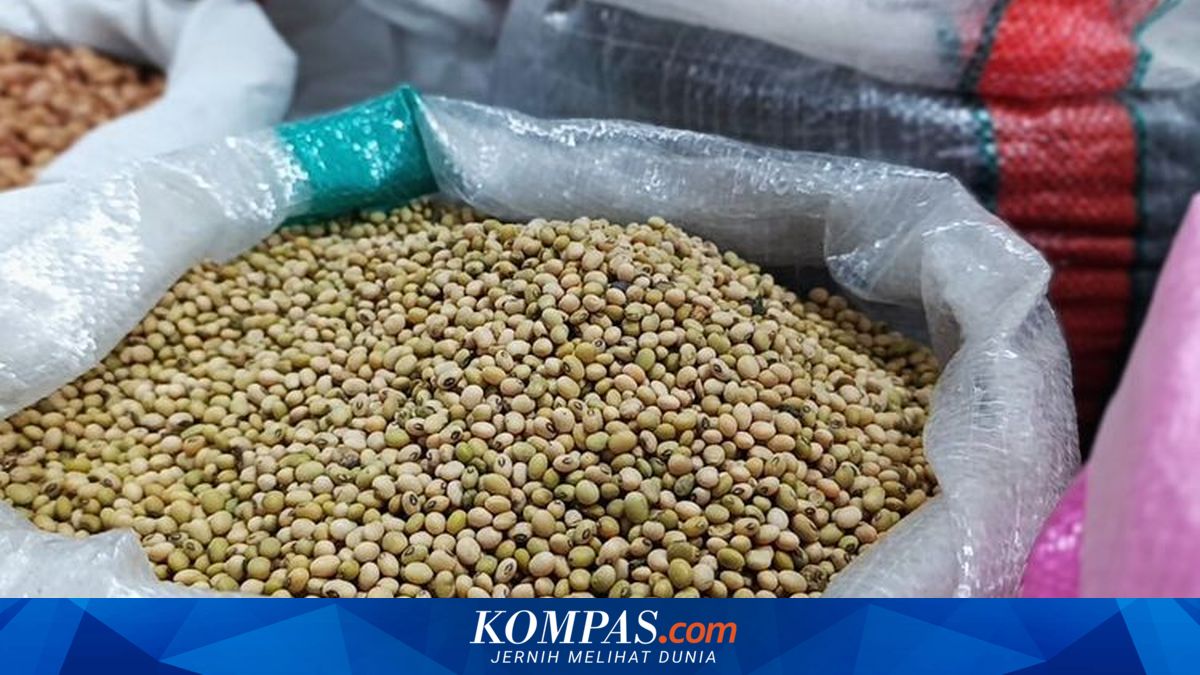 Bulog Given Mandate to Absorb Local Farmers’ Soybeans