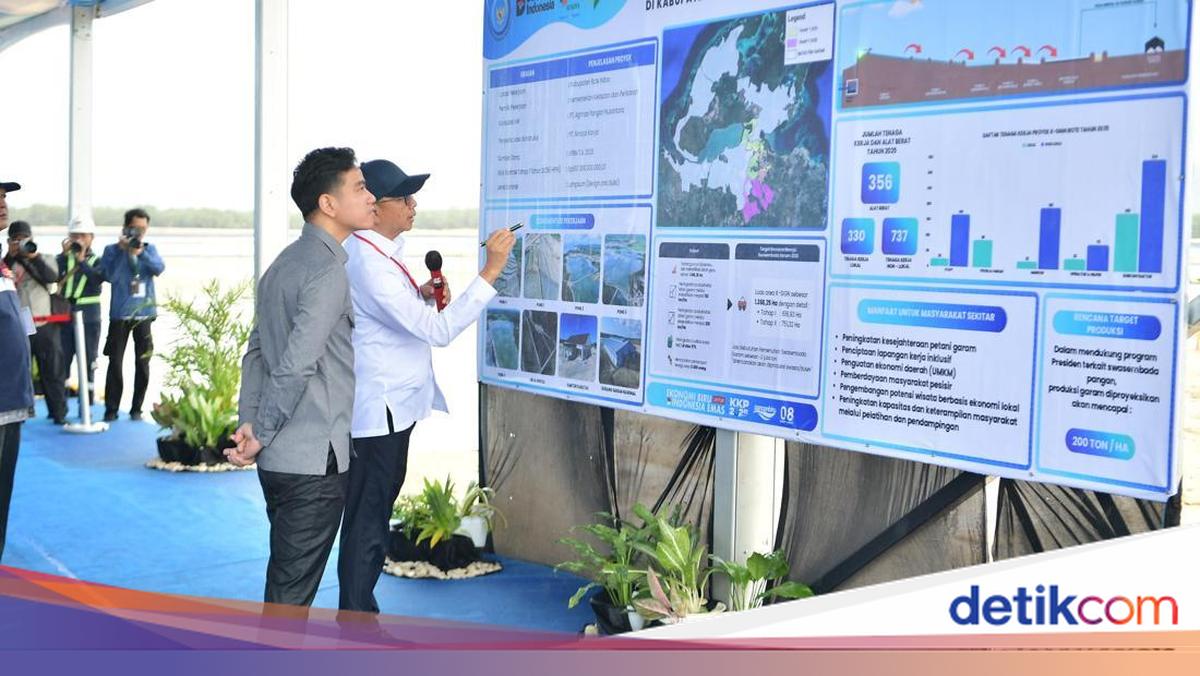 Gibran targets Rote Ndao salt plant to meet national demand of 5 million tonnes