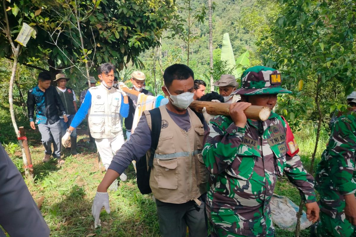 West Sumatra BKSDA evacuates tiger that entered trap cage in Agam
