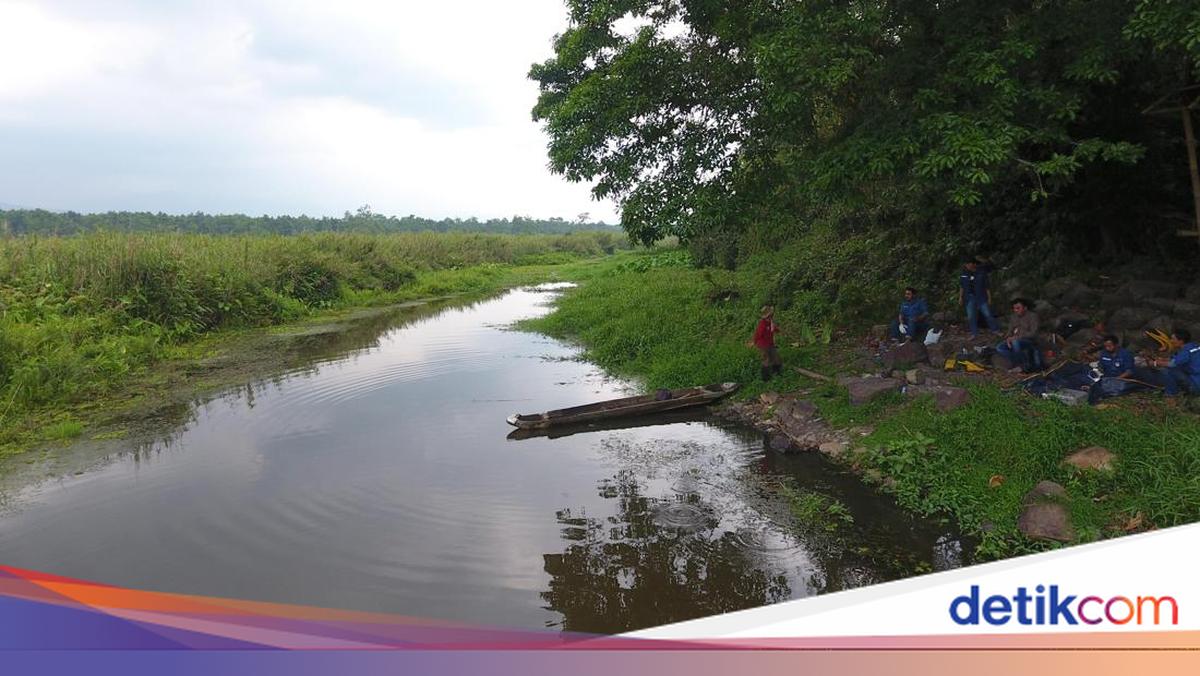 Guarding the Cidanau River Basin in Banten, Farmers Receive Incentives Up to IDR 1.7 Million per Hectare