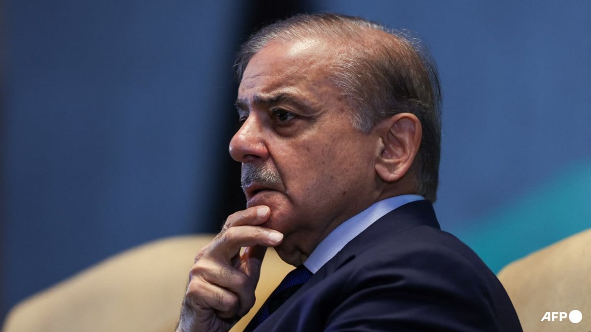 Pakistan’s balancing act in focus as PM Sharif heads to China