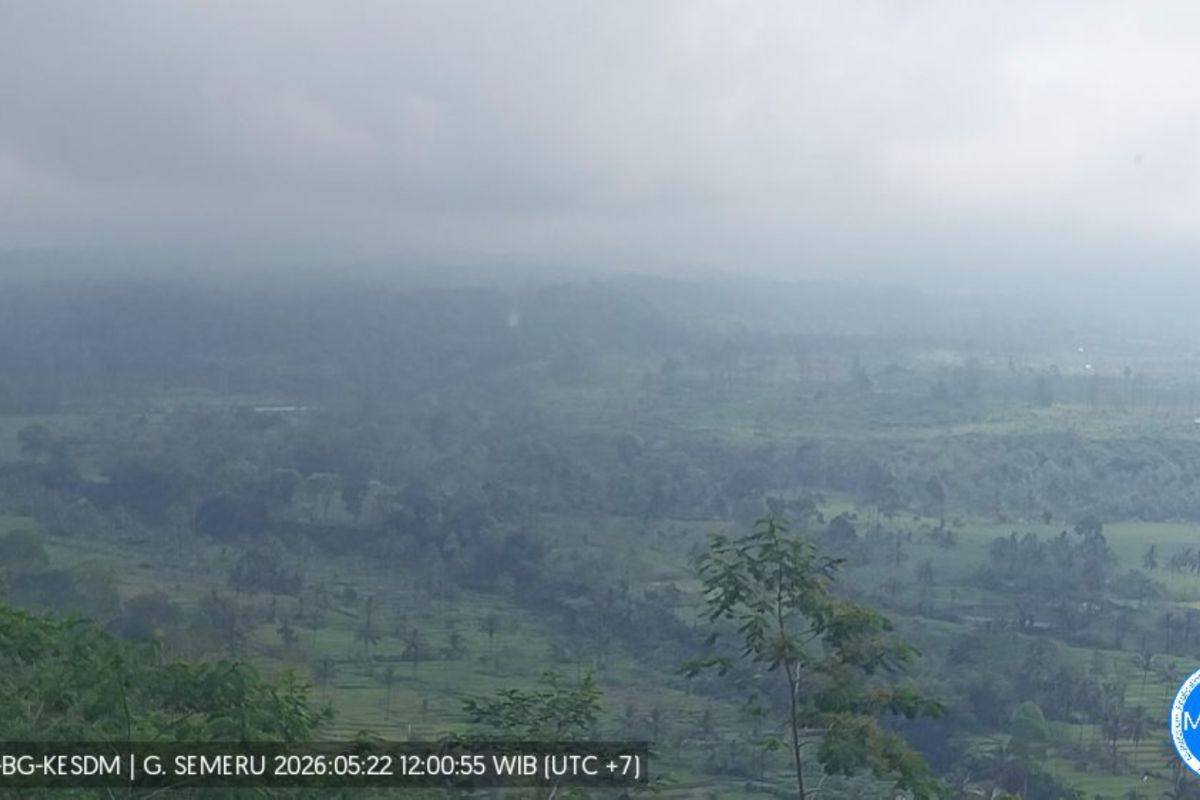 Mount Semeru erupts with pyroclastic flow
