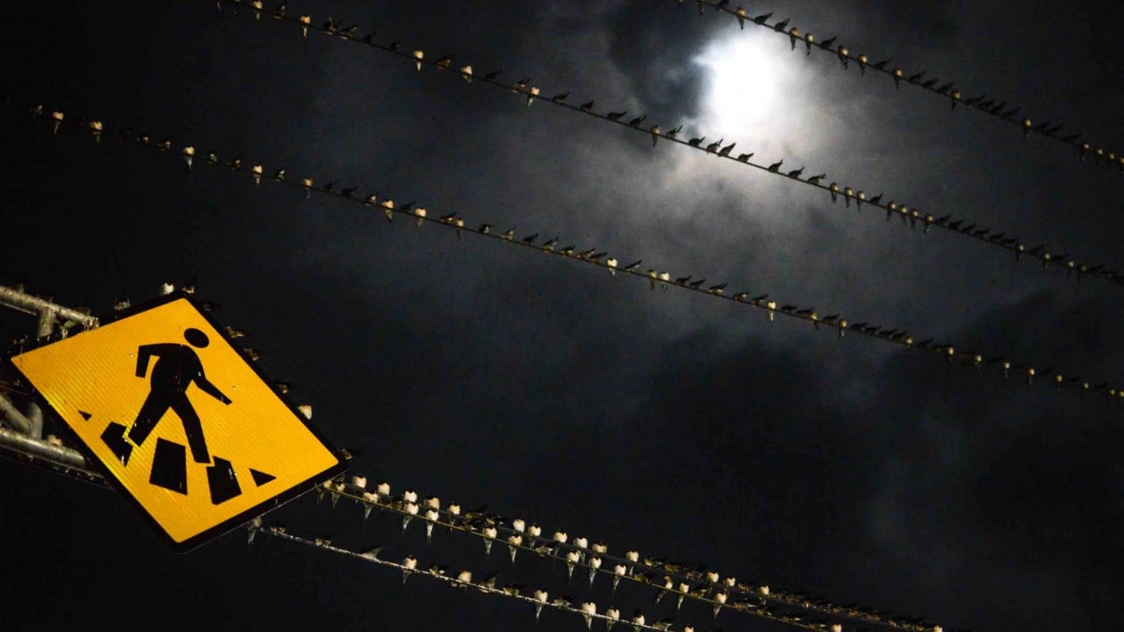 Total Power Outage Across Riau, West Sumatra, North Sumatra and Aceh