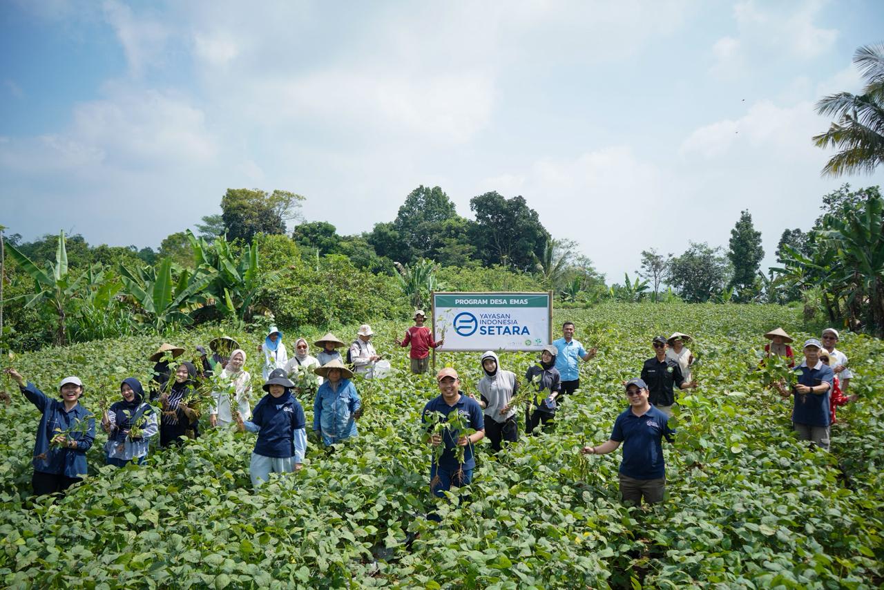 First Edamame Harvest Strengthens Integrated Village Farming Model