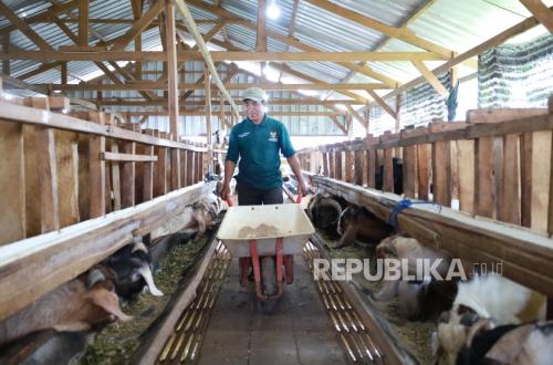 BAZNAS Strengthens Digitalisation of Qurban for 2026