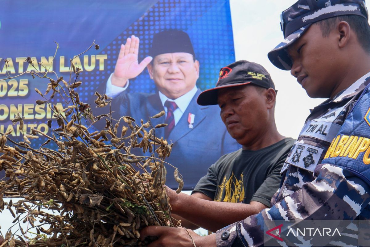Indonesian Navy to ensure all units carry out soybean planting programme