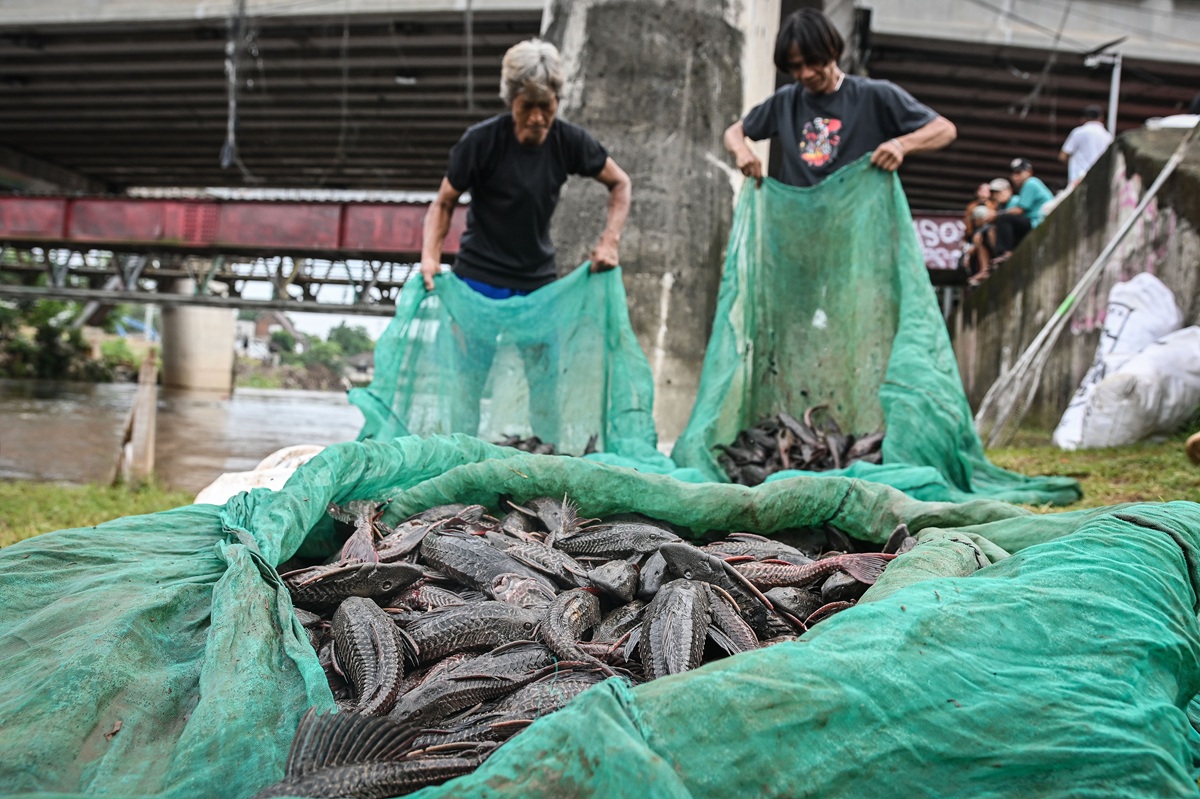 Invasive non-native fish threaten Indonesia's aquatic ecosystems