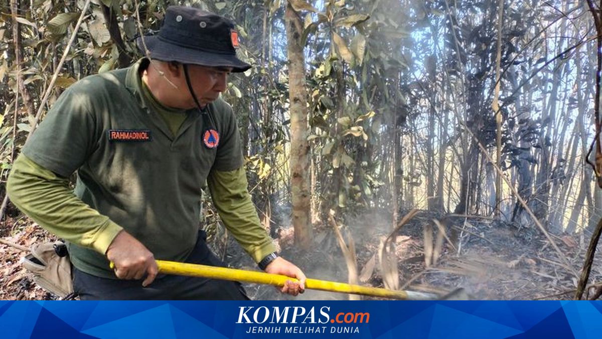 El Niño 2026 Threatens Java to Kalimantan, but Not the Worst in History