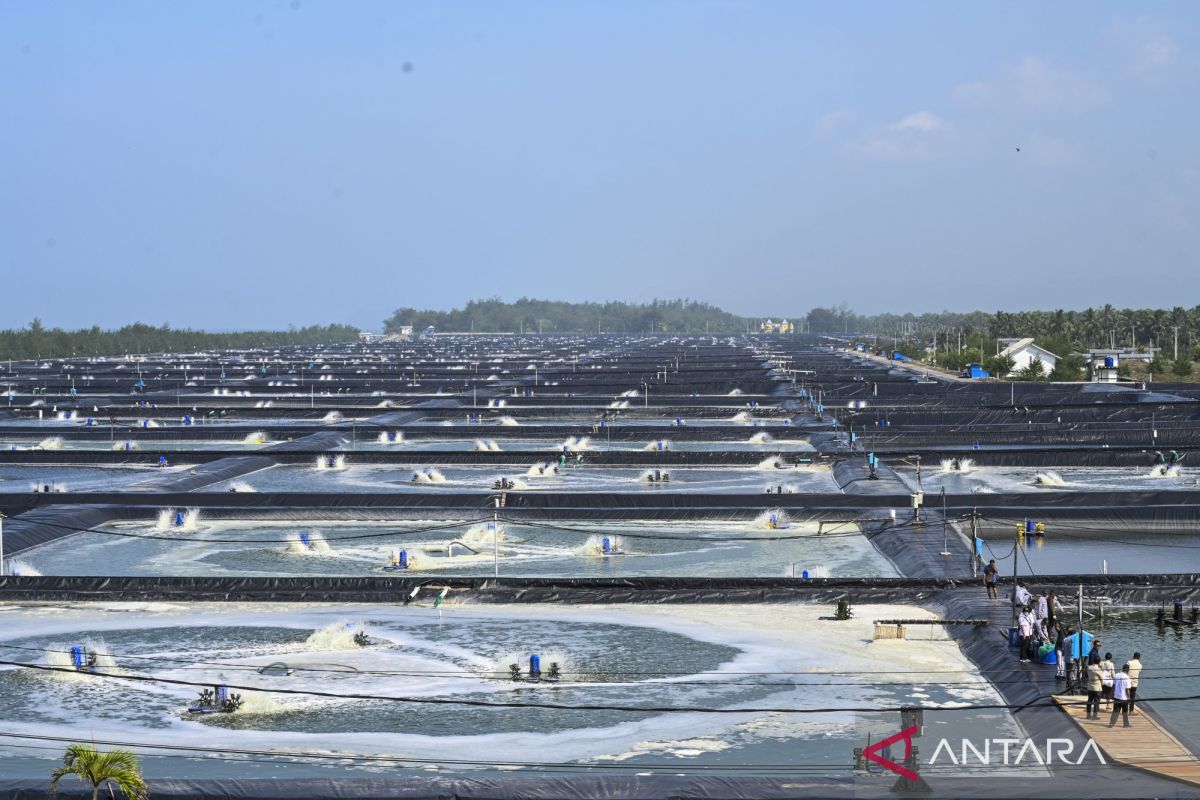 Prabowo affirms food self-sufficiency amid geopolitical tensions
