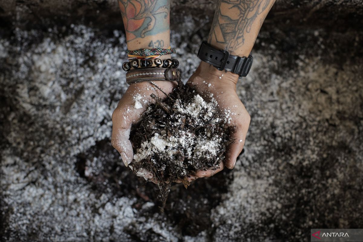 BRIN researcher turns spent coffee grounds into high-value oil