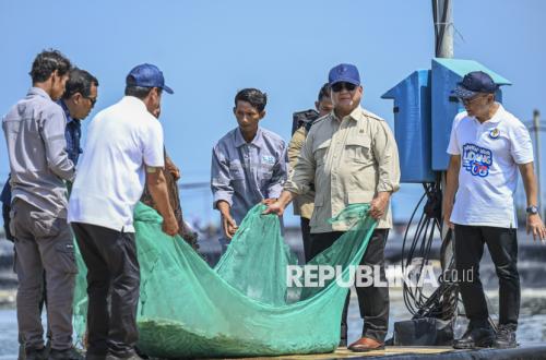 Moment when President Prabowo Attends Kebumen's Large-Scale Shrimp Harvest