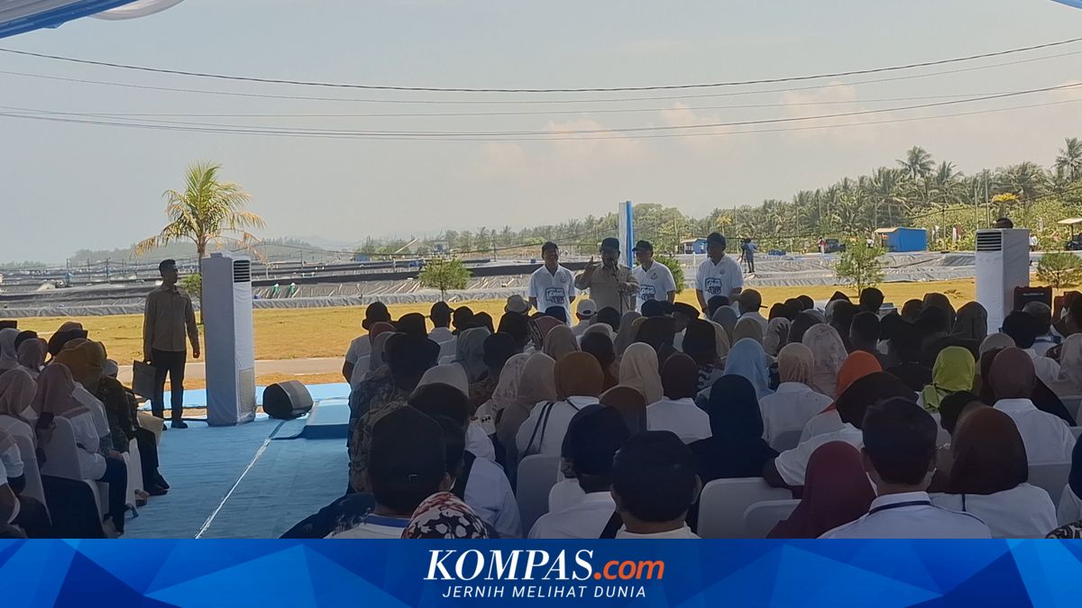 From Kebumen, Prabowo Hints at Large Foreign Exchange Potential from Shrimp Farming