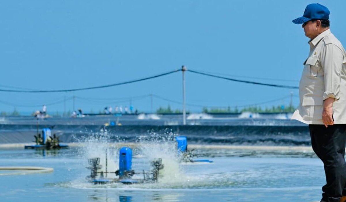 Attends Modern Shrimp Harvest in Kebumen, Prabowo Says It Is Very Promising