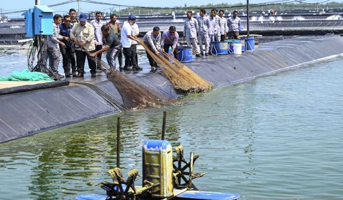 Prabowo Vows to Halt Outflow of National Resources