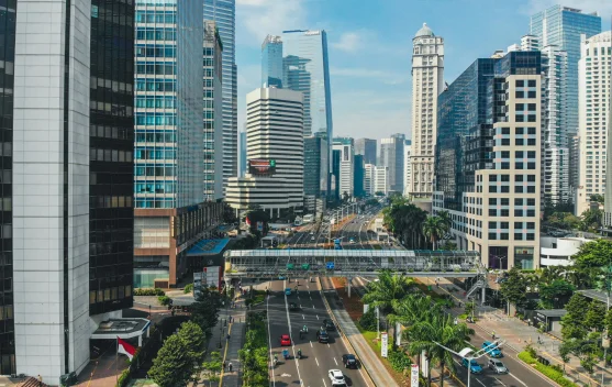 Indonesian Finance Minister Urges Private Sector to Drive Domestic Economy