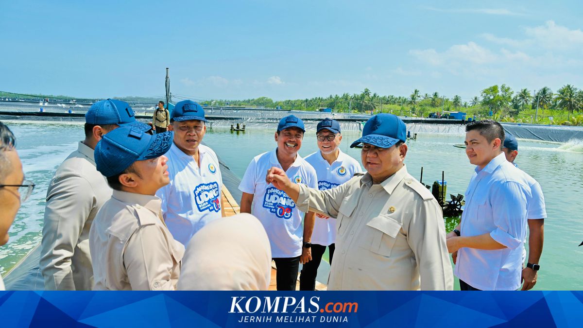 Prabowo Showcases 19 Months as Indonesia's President: Rice and Maize Self-Sufficiency