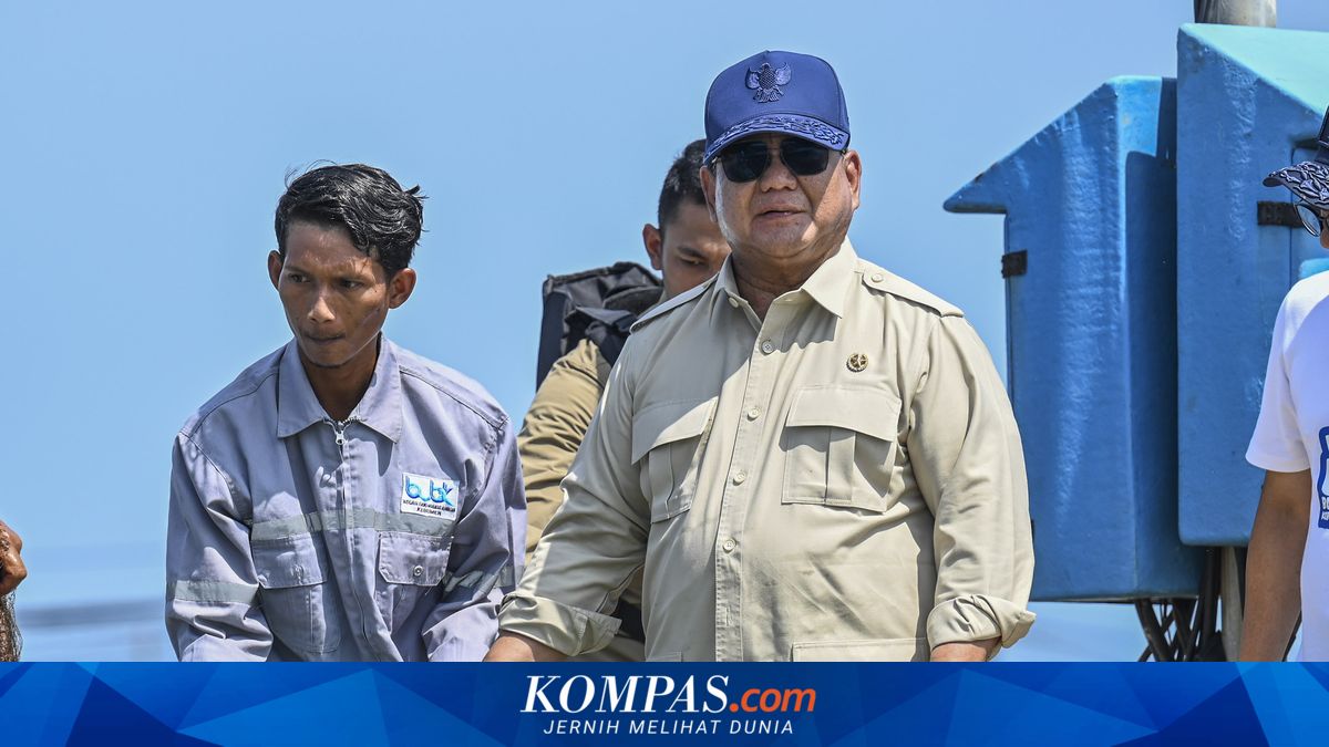 Shrimp Harvest in Kebumen: Prabowo Says Prices Are Very Good