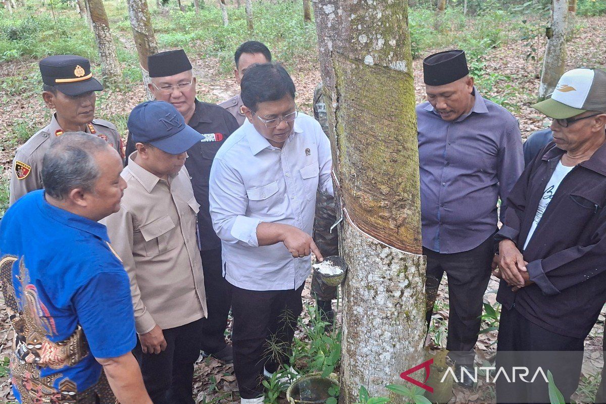 Wamentrans prepared to champion subsidised fertiliser for rubber farmers